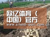种植基地八