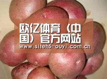 产品展示标题1