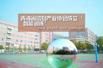 青海省信息产业协会成立‘ 智能训练’(图1) 欧亿体育
