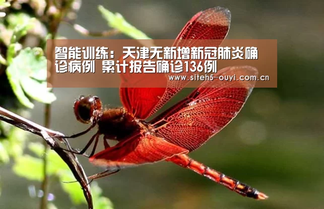 欧亿体育
