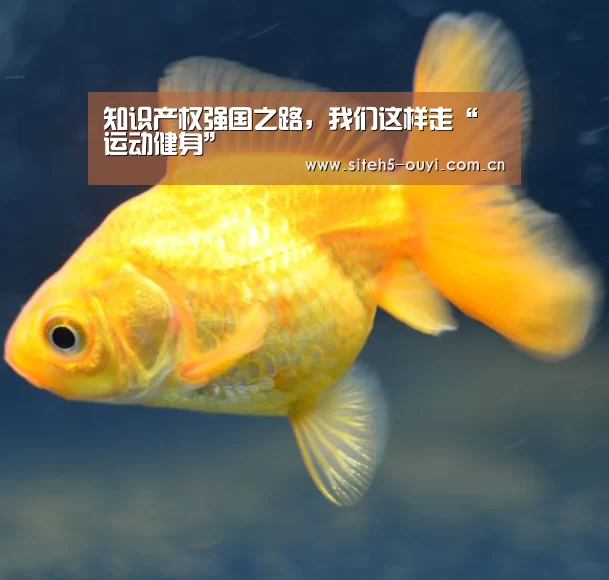  智能训练