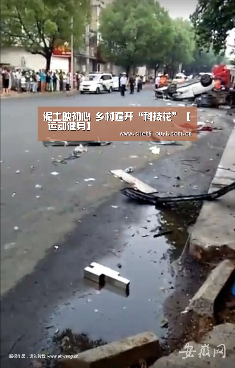 泥土映初心 乡村遍开“科技花”【 运动健身】(图2) 运动数据分析